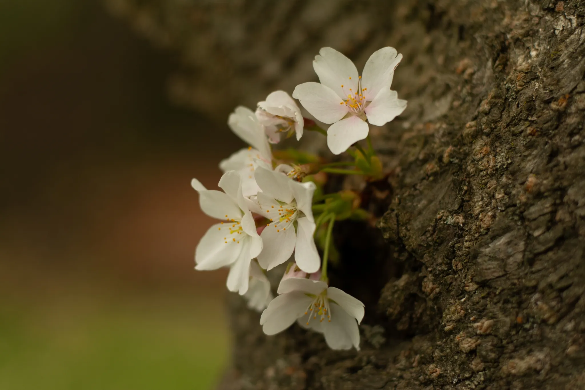 Photography 5
