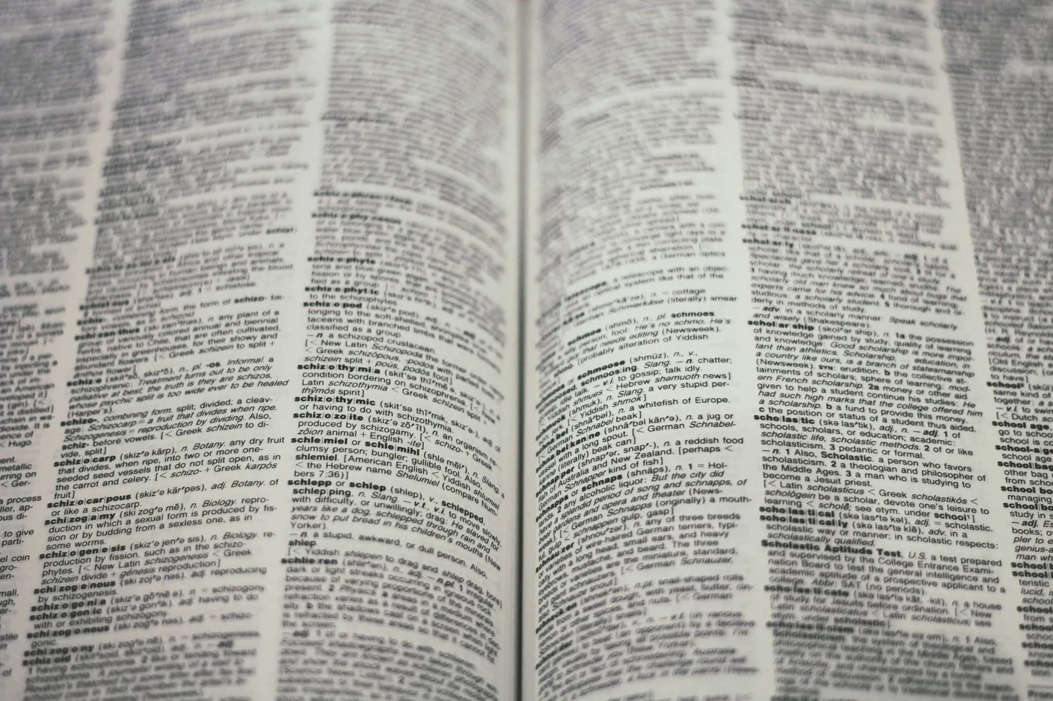 Words, words, words. So many words, so little time!